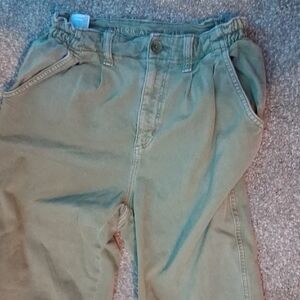 American Eagle Outfitters Sage Green Trousers